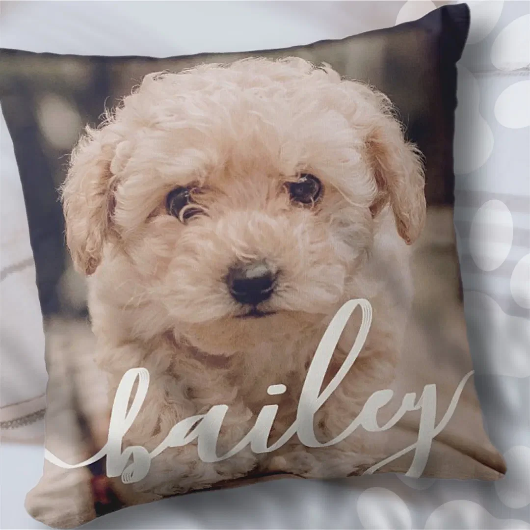 Pet’s Simple Modern Elegant Chic Name and Photo Throw Pillow