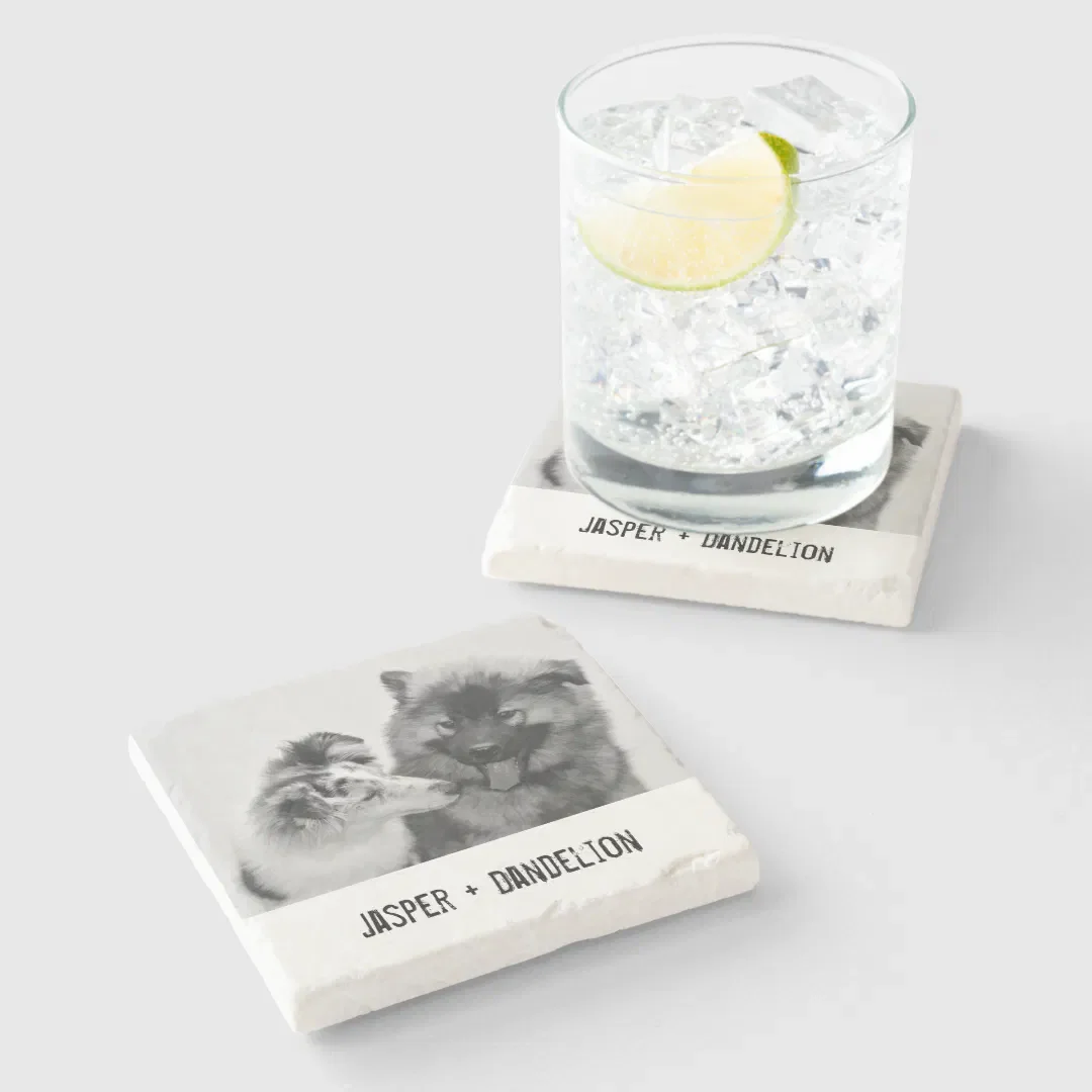 Simple, Modern Custom Pet or People Photo Stone Coaster